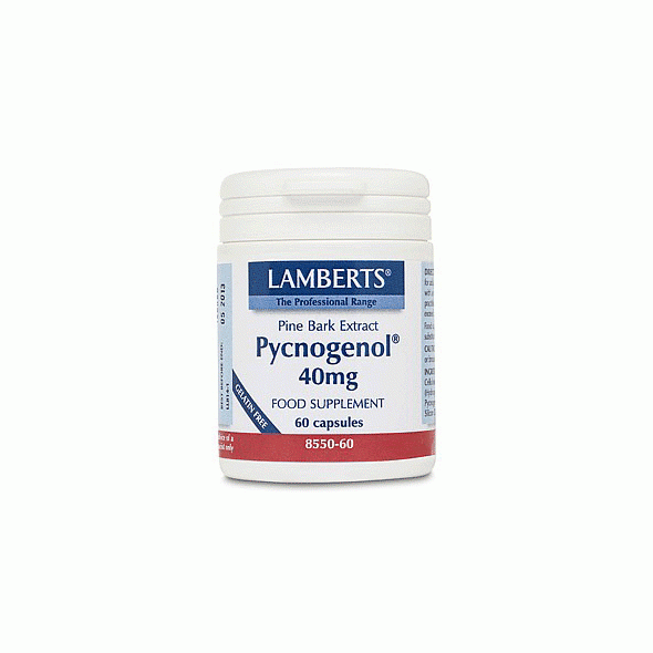 Lamberts Pycnogenol 40mg, Συμπλήρωμα Διατροφής με Ισχυρή Αντιοξειδωτική Δράση 60 κάψουλες