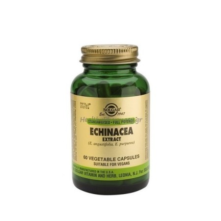 Solgar Echinacea Root & Leaf Extract, Εχινάκεια για Ενίσχυση του Ανοσοποιητικού Συστήματος 60 φυτικές κάψουλες